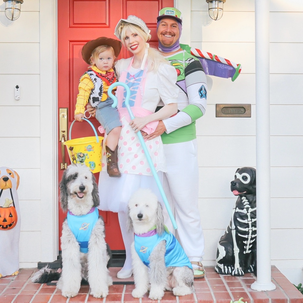 Toy Story Family Costume Set. Woody, Bo Peep, Buzz and Aliens.